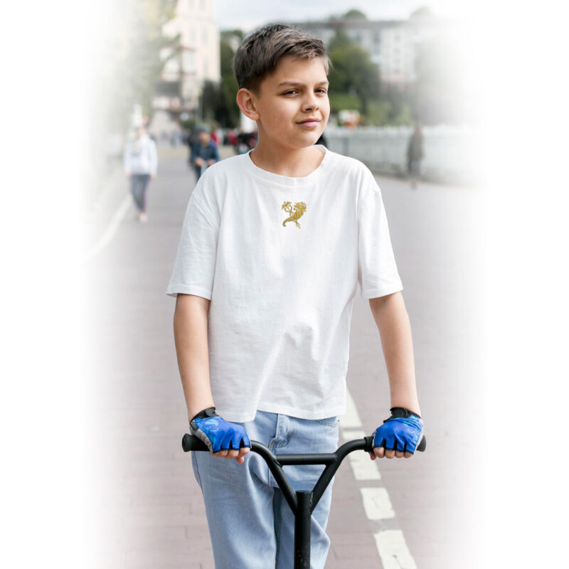 Патріотична Футболка з вишитим Гербом Харкова для дітей